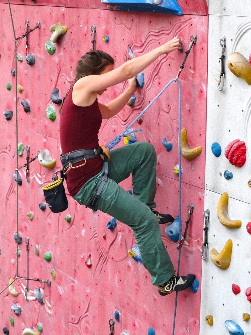 Climbing Shoes